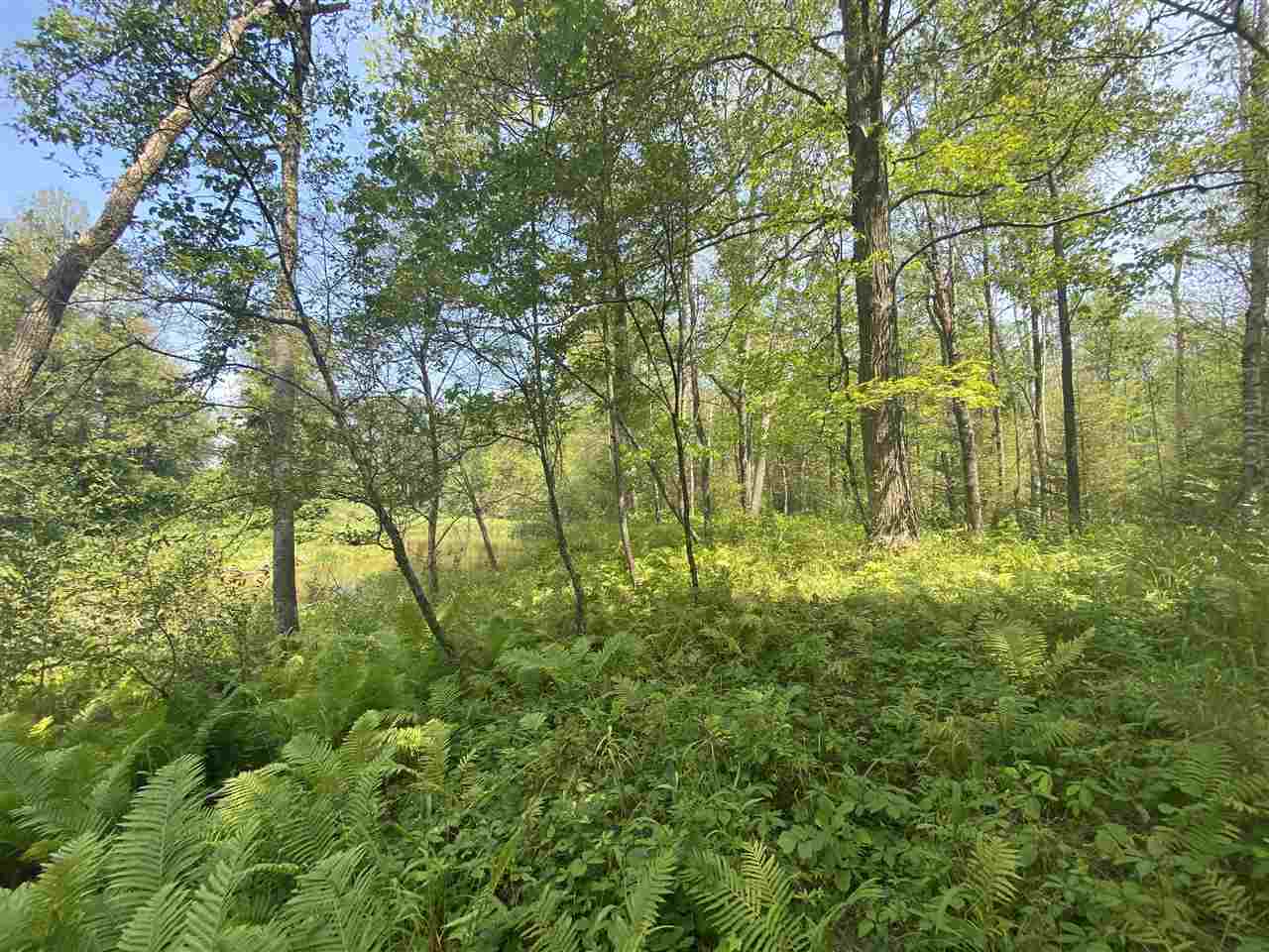 0 Briggs Road Omer, MI 48749 - Photo 4 of 45