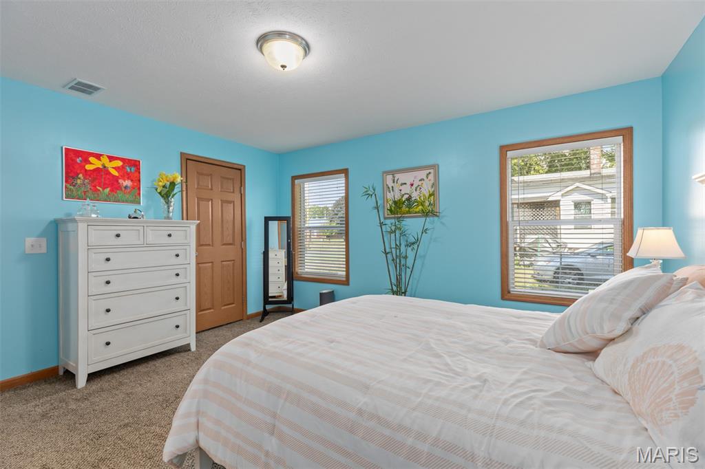 704 North Monroe Street Litchfield, IL 62056 - Photo 15 of 25