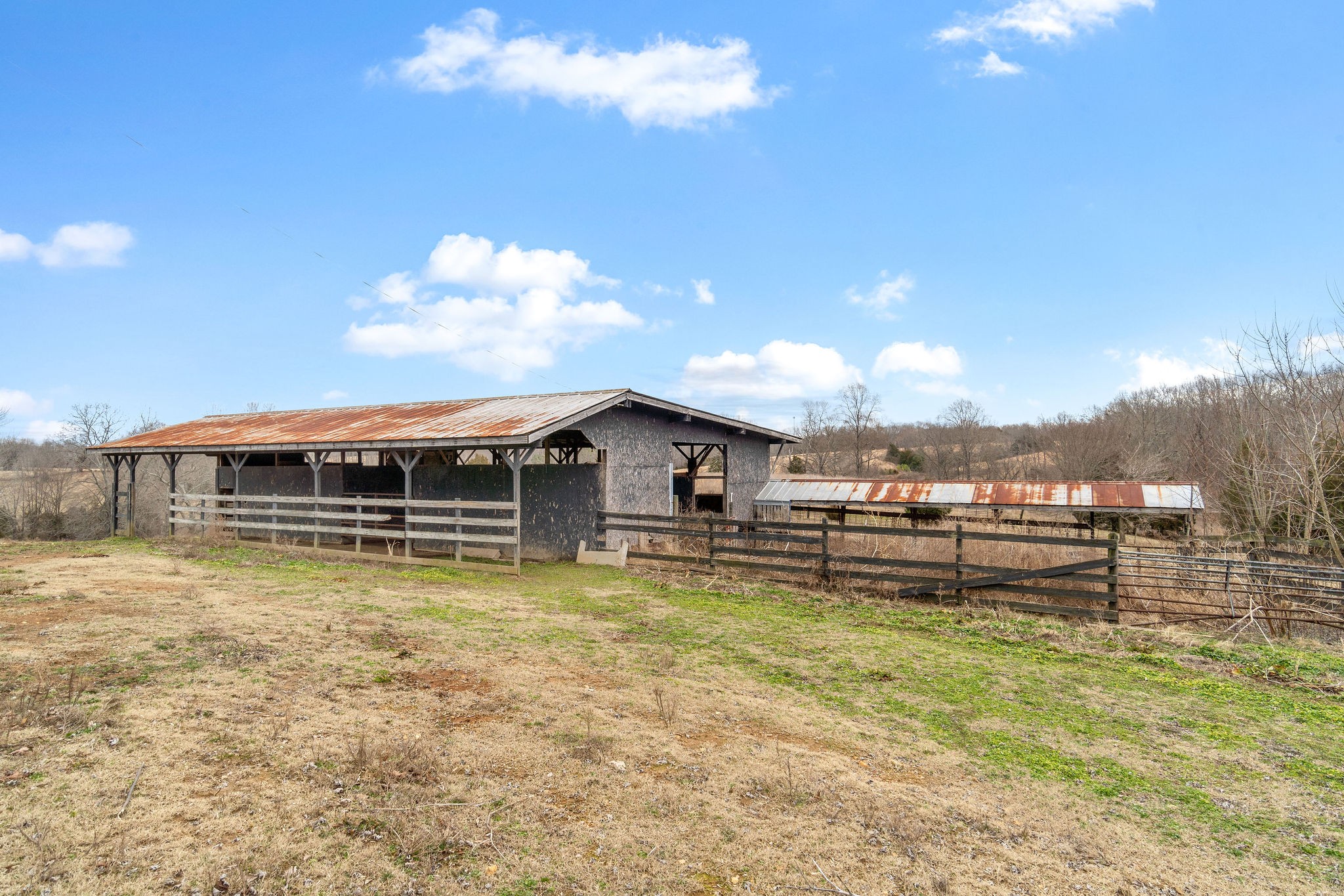 1751 Jim Kim Road Cunningham, TN 37052 - Photo 8 of 41 a view of a house with a yard and a large tree