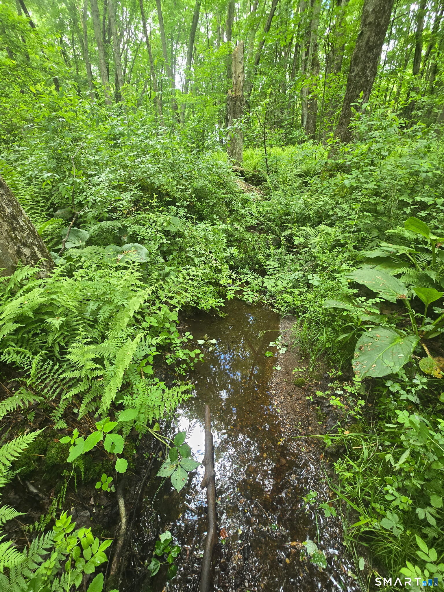 Boston Road Andover, CT 06232 - Photo 3 of 3