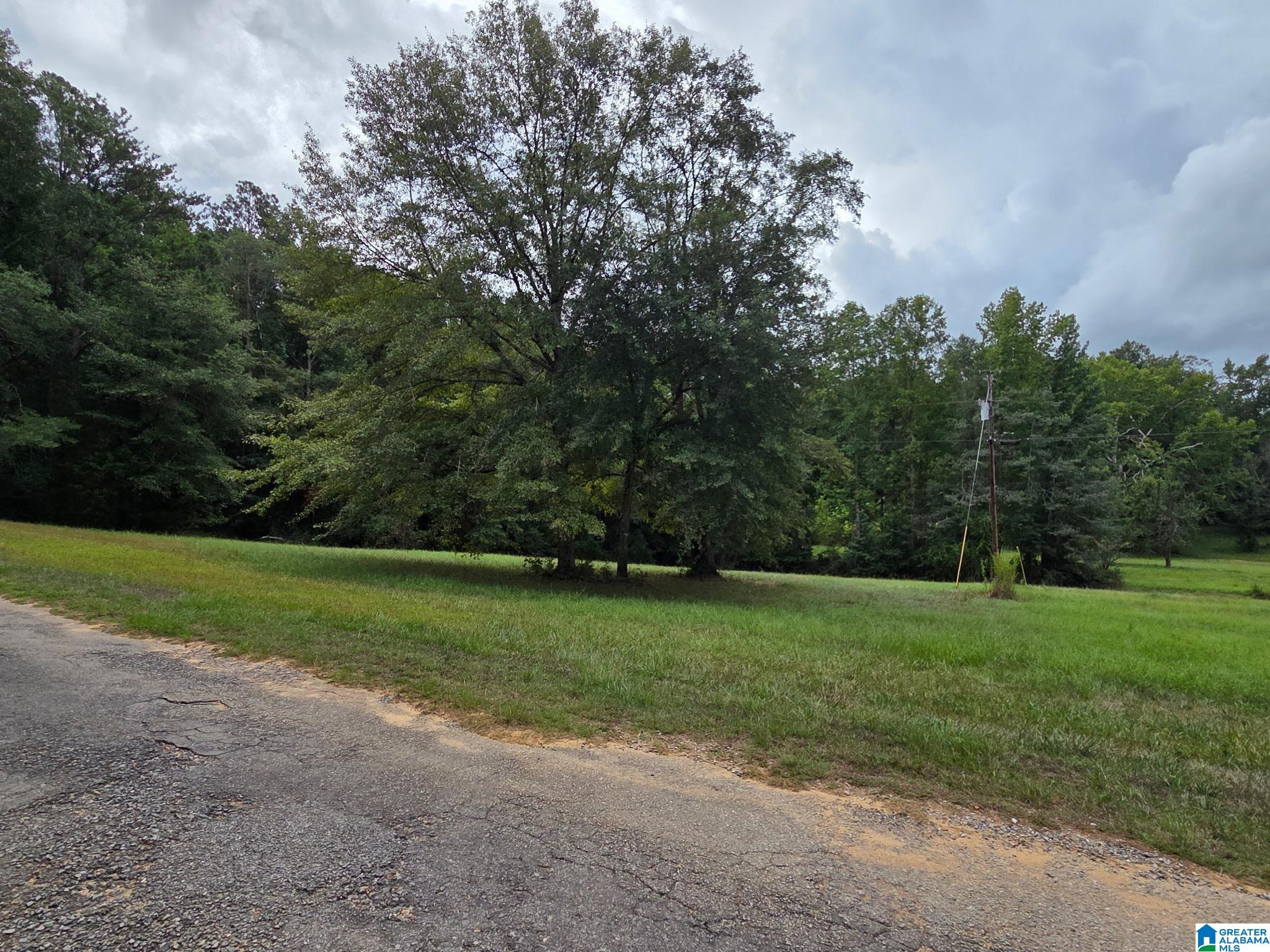 317 Rockyview Road West Blocton, AL 35184 - Photo 1 of 5