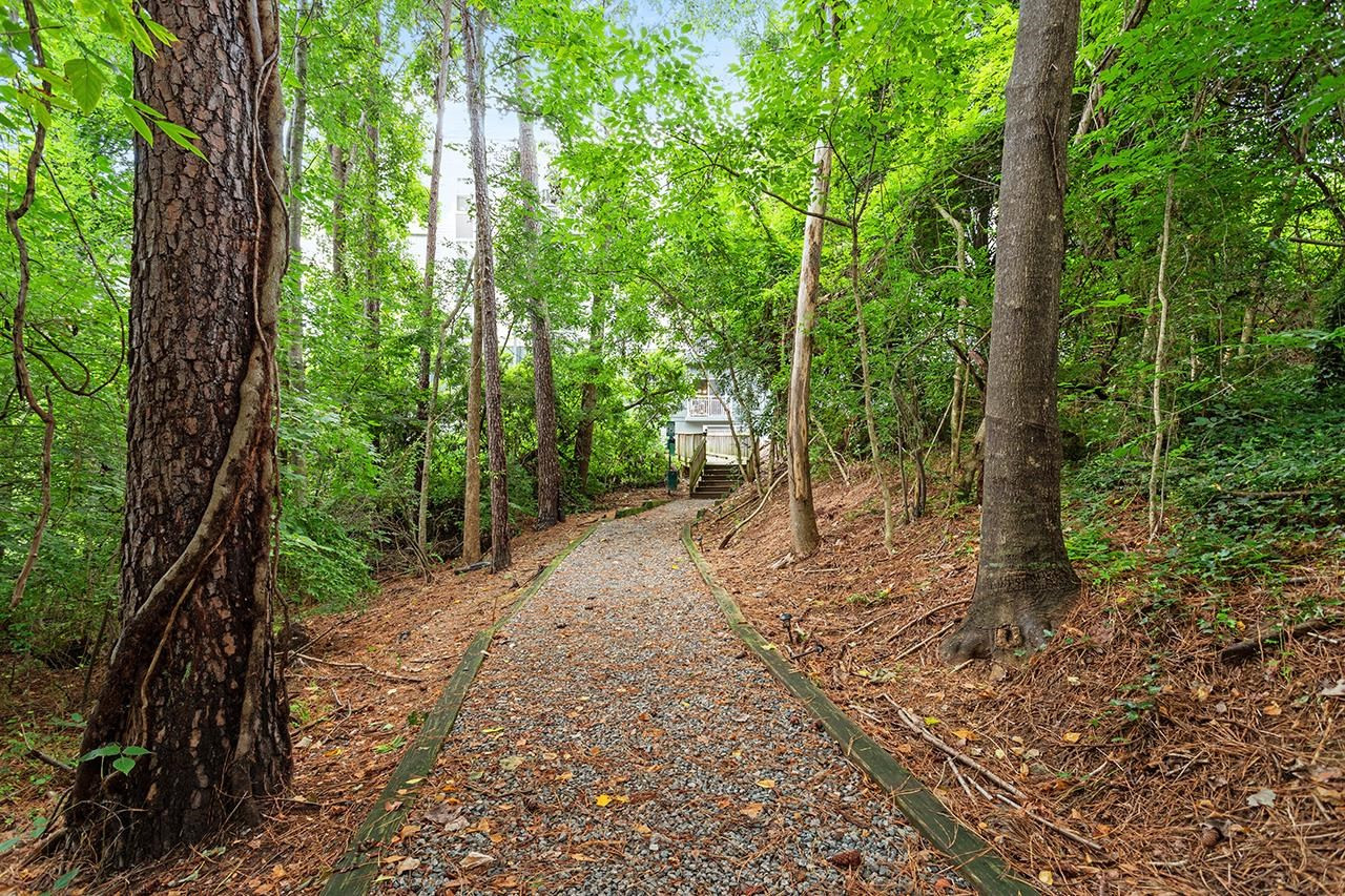 900 Canenaugh Drive, Unit 201 Raleigh, NC 27604 - Photo 26 of 28 a view of a forest with trees in the background