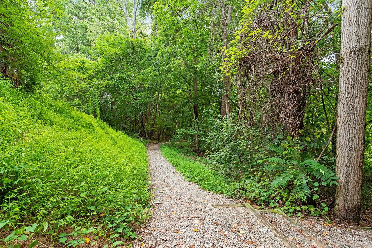 900 Canenaugh Drive, Unit 201 Raleigh, NC 27604 - Photo 28 of 28 a view of a garden with plants