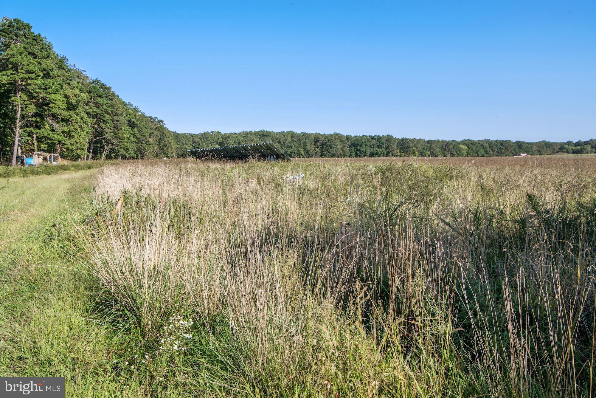 622 Pestletown Road Waterford Works, NJ 08089 - Photo 36 of 39 10 acres of land to farm/ lease to farmer or use a