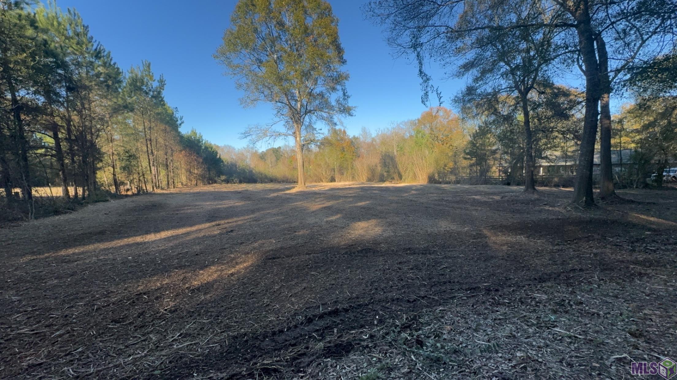 Tbd Robinson Road Folsom, LA 70437 - Photo 2 of 2