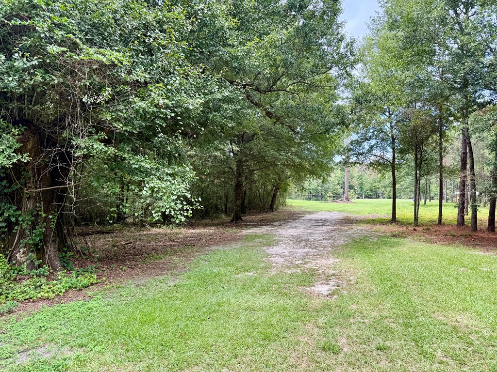 1640 Lafollette Road Slocomb, AL 36375 - Photo 3 of 64