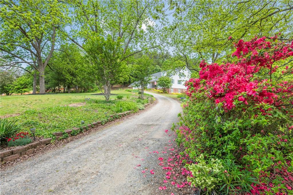 1256 Greenhill Road Mount Airy, NC 27030 - Photo 8 of 50 Circular driveway