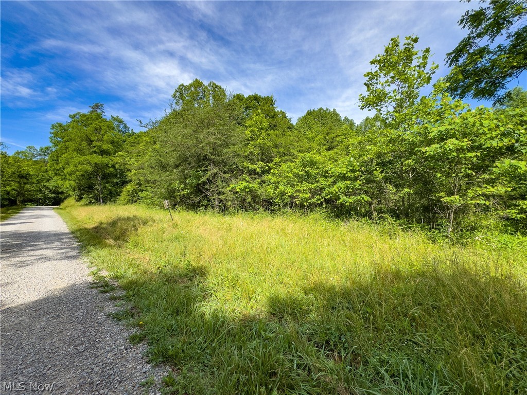 0 Jake Road Patriot, OH 45658 - Photo 4 of 15