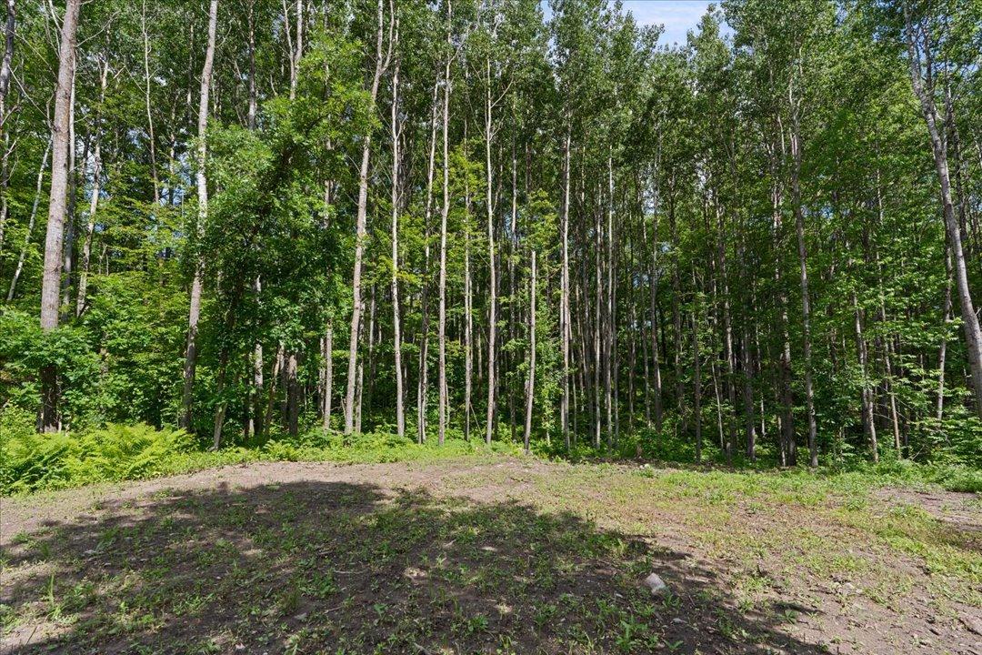 121 Ridgeway Path Walker, MN 56484 - Photo 30 of 35