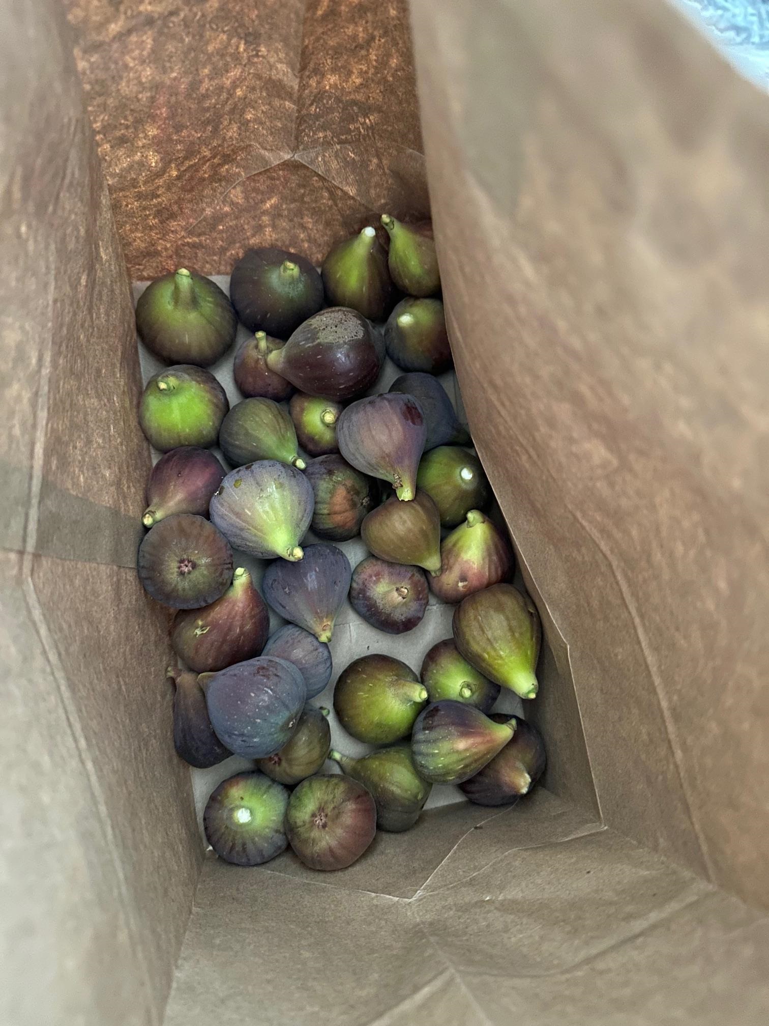 9752 Tareyton Avenue San Ramon, CA 94583 - Photo 37 of 45