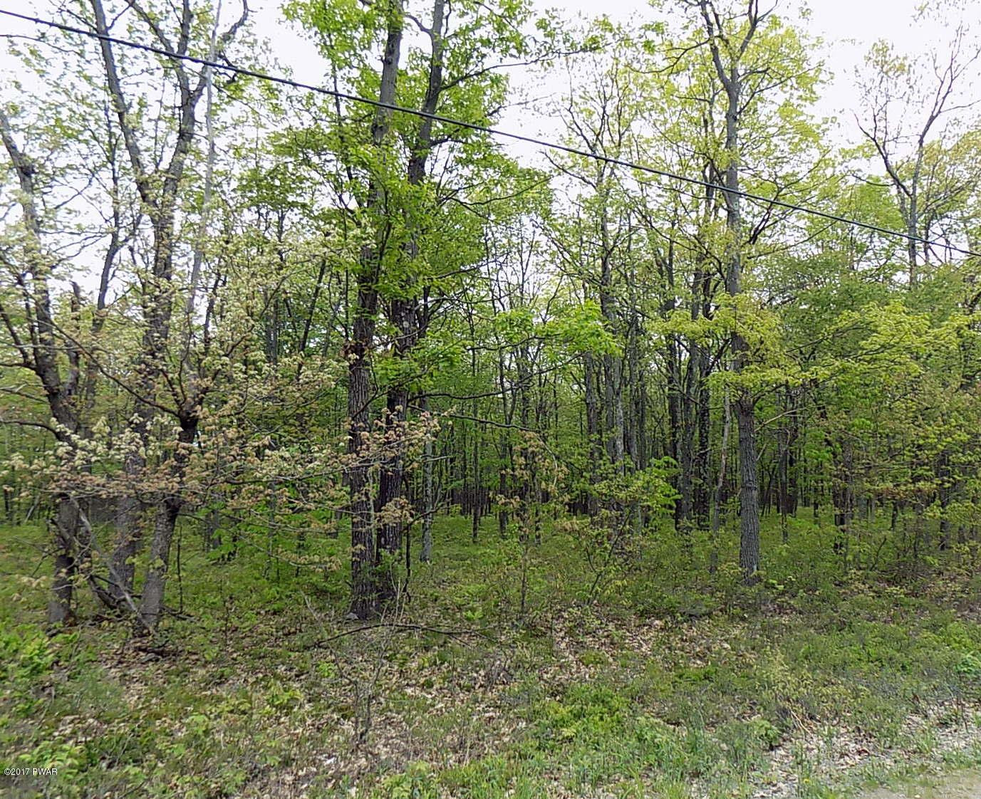 Lot 15 Bloss Road Road Canadensis, PA 18325 - Photo 4 of 6
