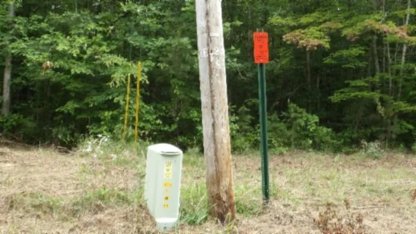 a bird view of a tree in front of a yard
