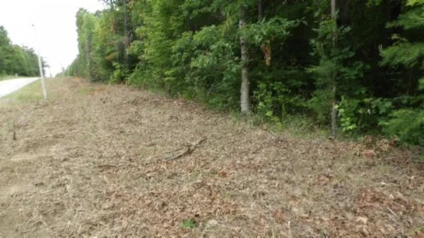 a view of a dry yard with trees in the background