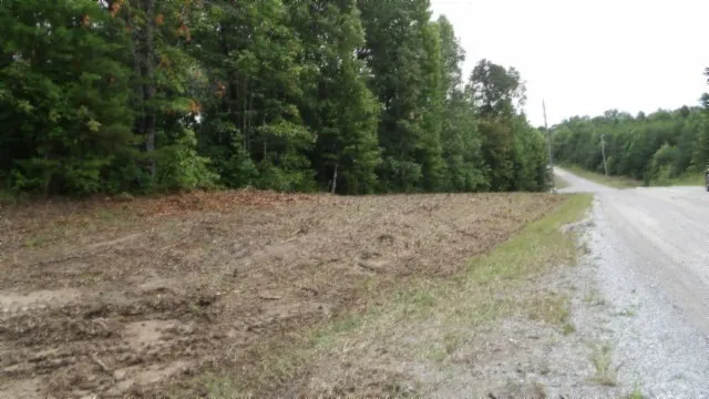 a view of a yard with trees