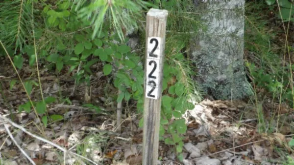 a map view of location