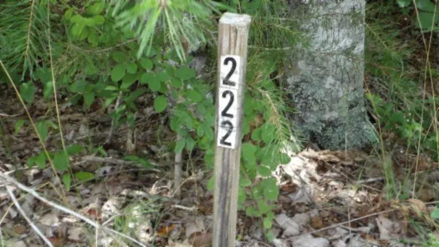 a map view of location