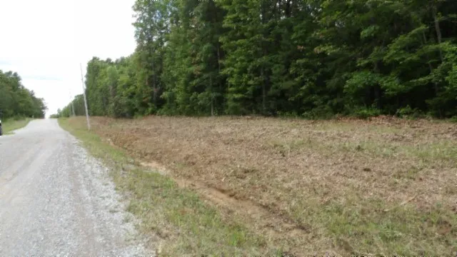 a view of a yard with a tree