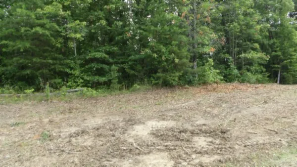 a view of backyard with green space