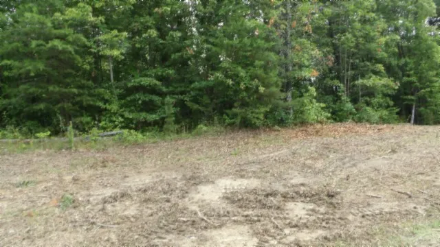 a view of backyard with green space