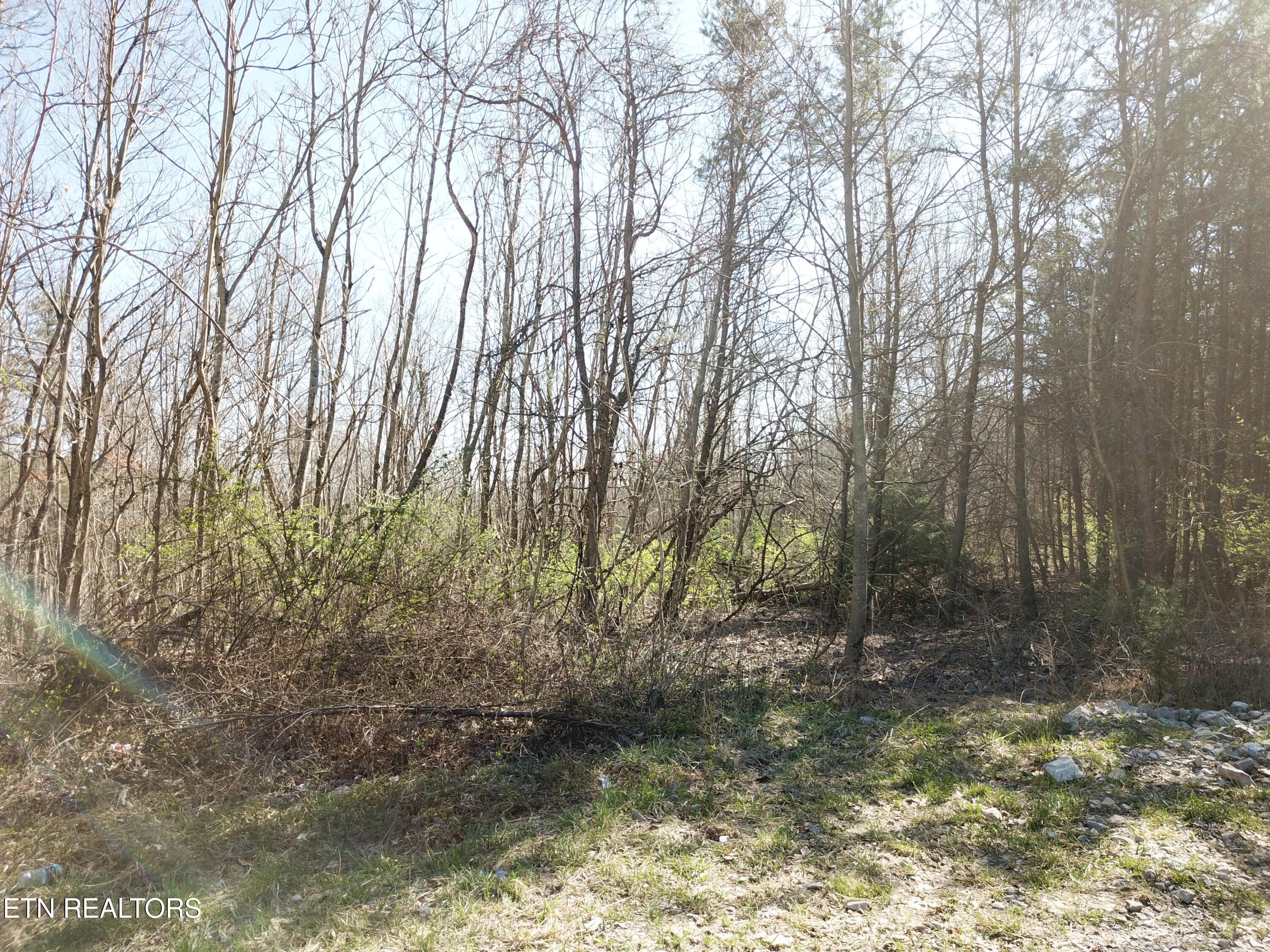 Buckridge Road Crossville, TN 38572 - Photo 22 of 26 DJI_0087