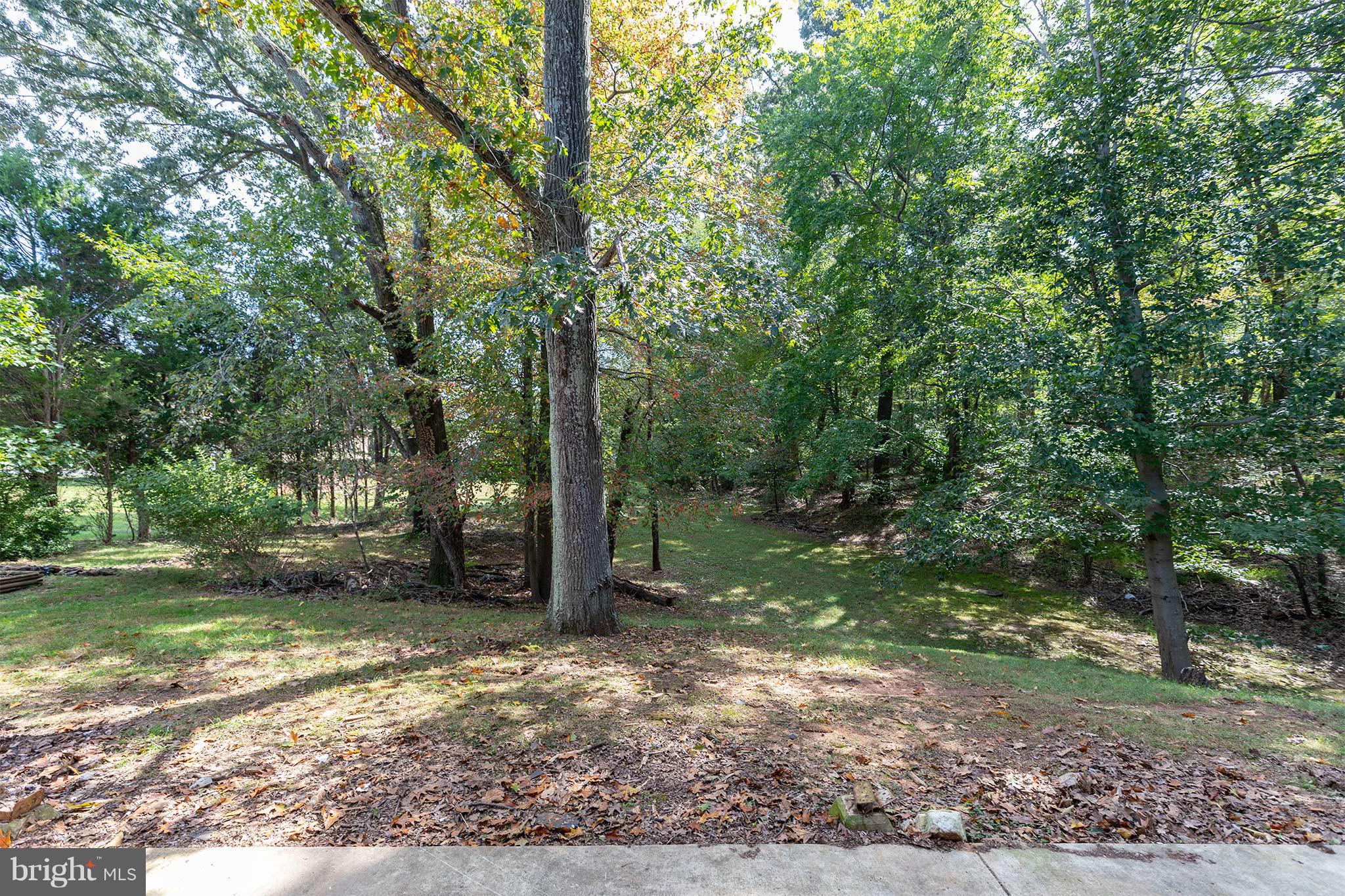 11702 Piscataway Road Clinton, MD 20735 - Photo 29 of 30 Exterior (Rear)