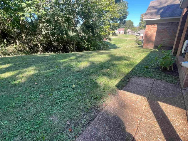 a view of a park with a trees