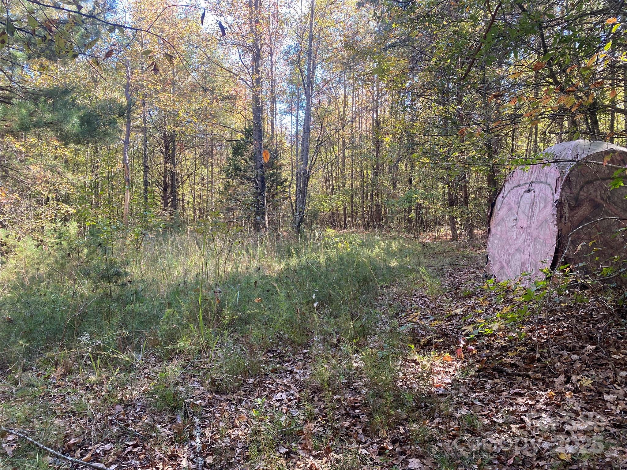 0 Crow Road Shelby, NC 28152 - Photo 11 of 19