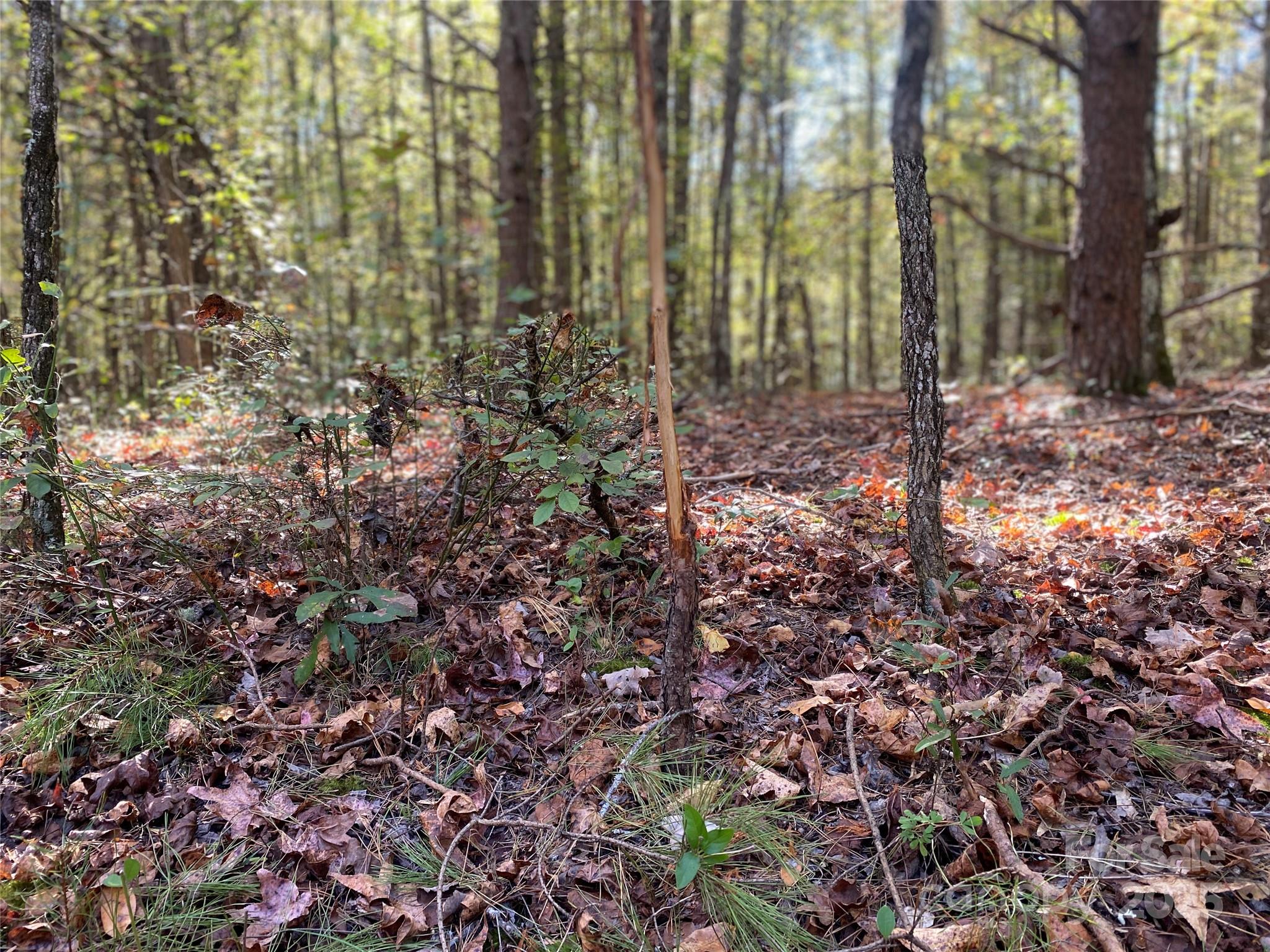 0 Crow Road Shelby, NC 28152 - Photo 14 of 19