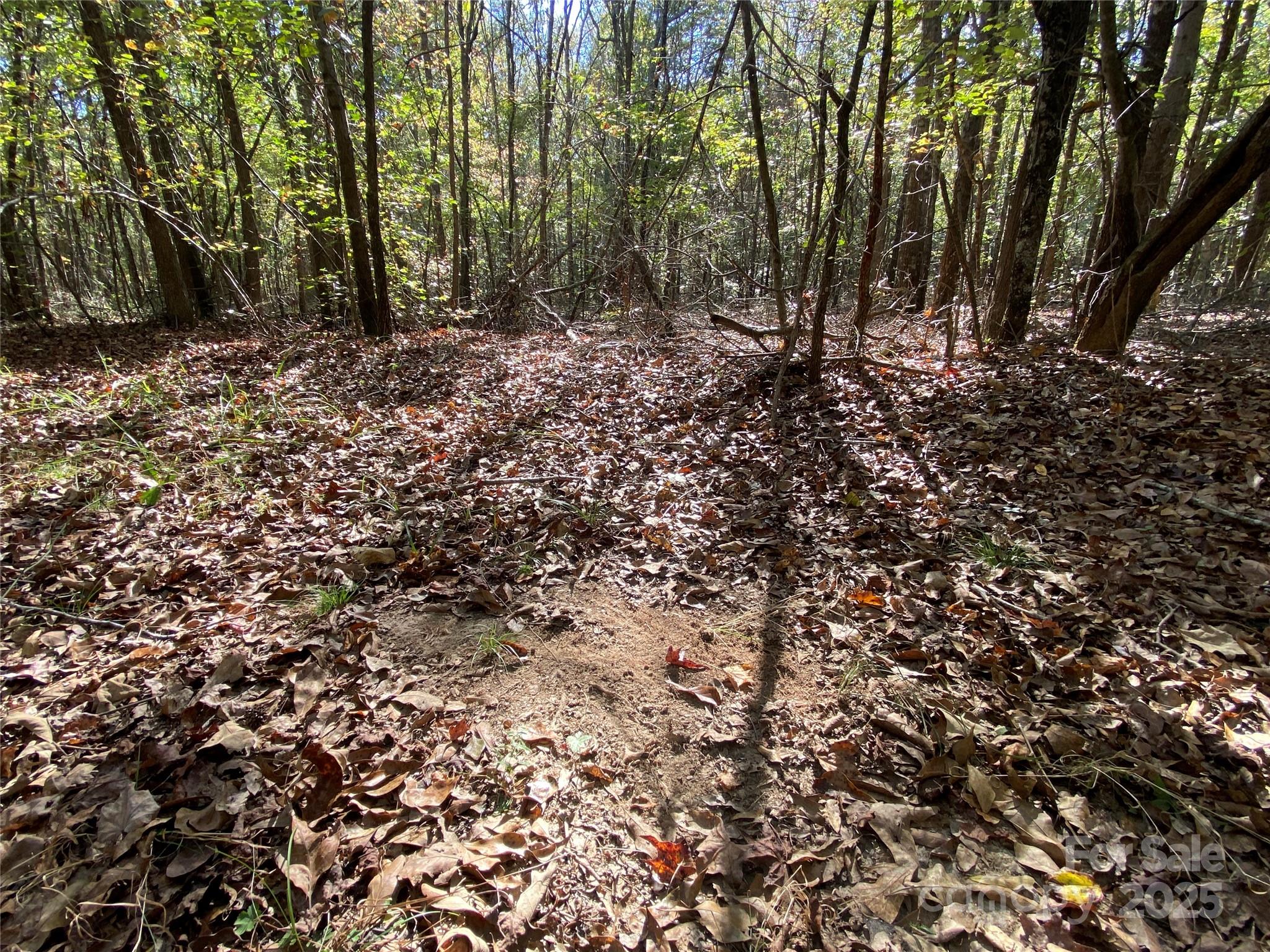 0 Crow Road Shelby, NC 28152 - Photo 15 of 19