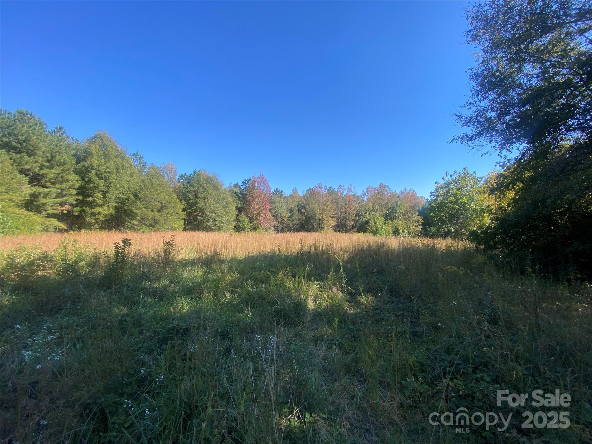0 Crow Road Shelby, NC 28152 - Photo 18 of 19