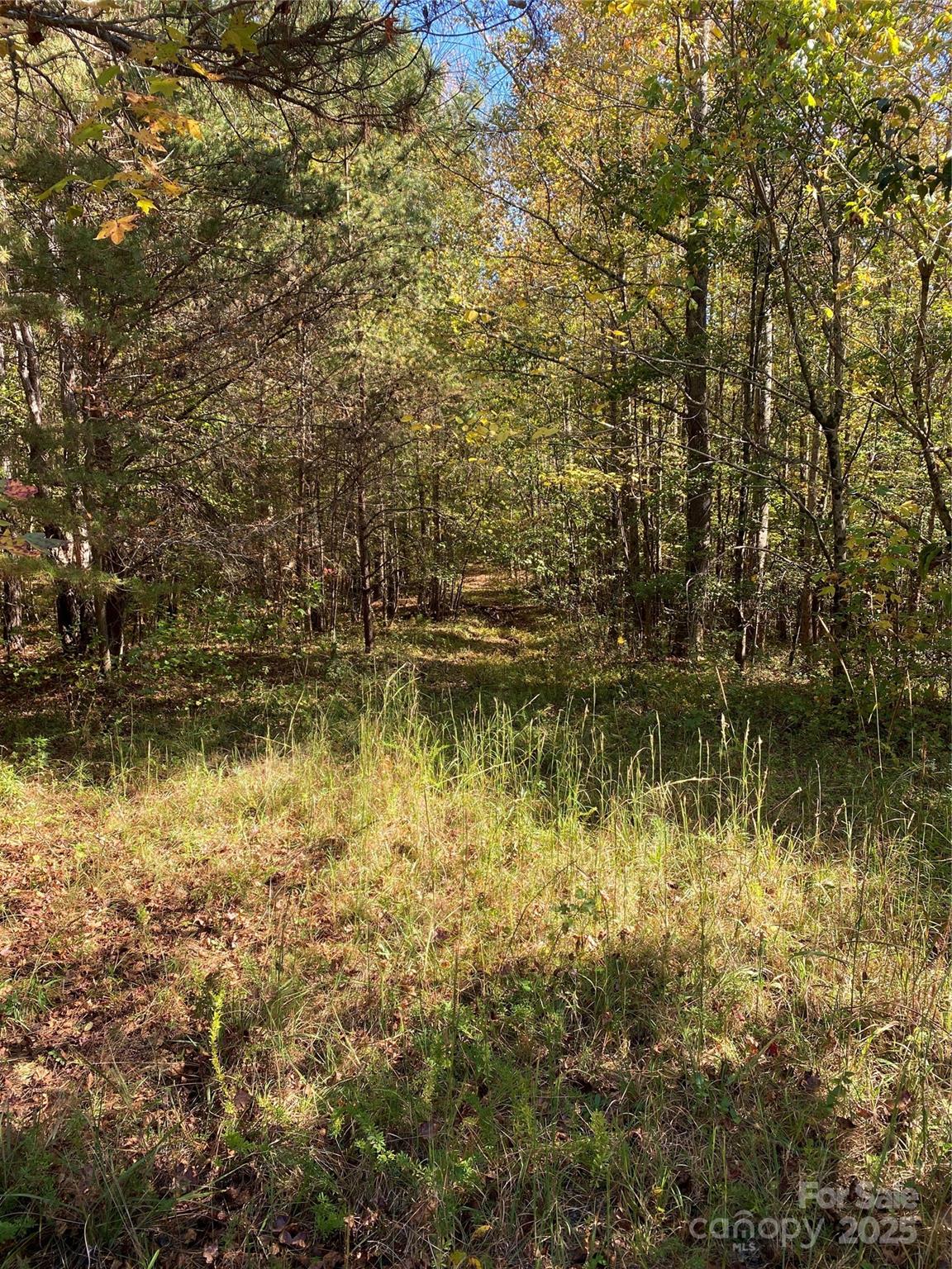 0 Crow Road Shelby, NC 28152 - Photo 2 of 19