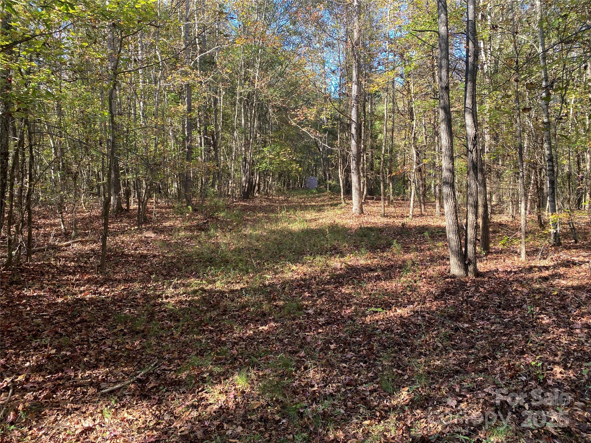0 Crow Road Shelby, NC 28152 - Photo 3 of 19