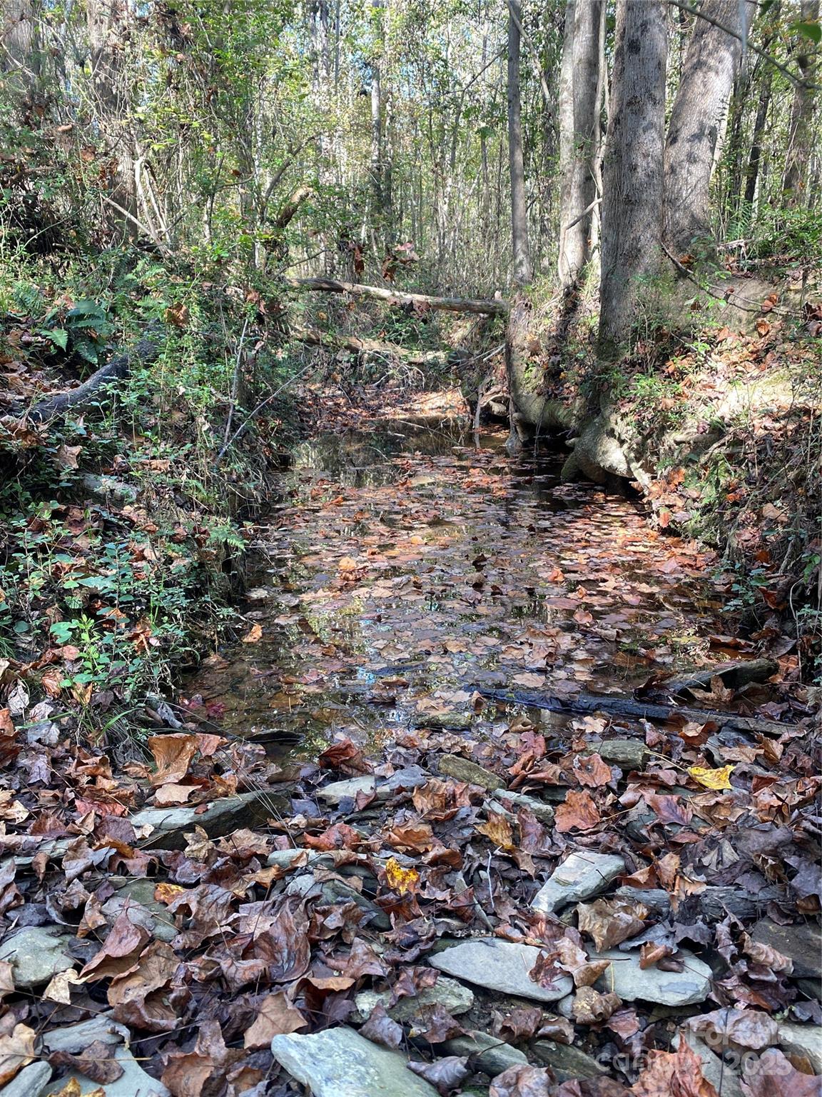 0 Crow Road Shelby, NC 28152 - Photo 4 of 19