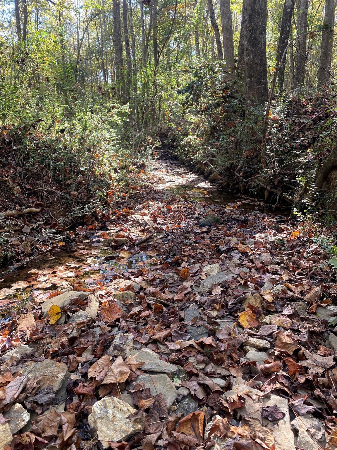 0 Crow Road Shelby, NC 28152 - Photo 5 of 19