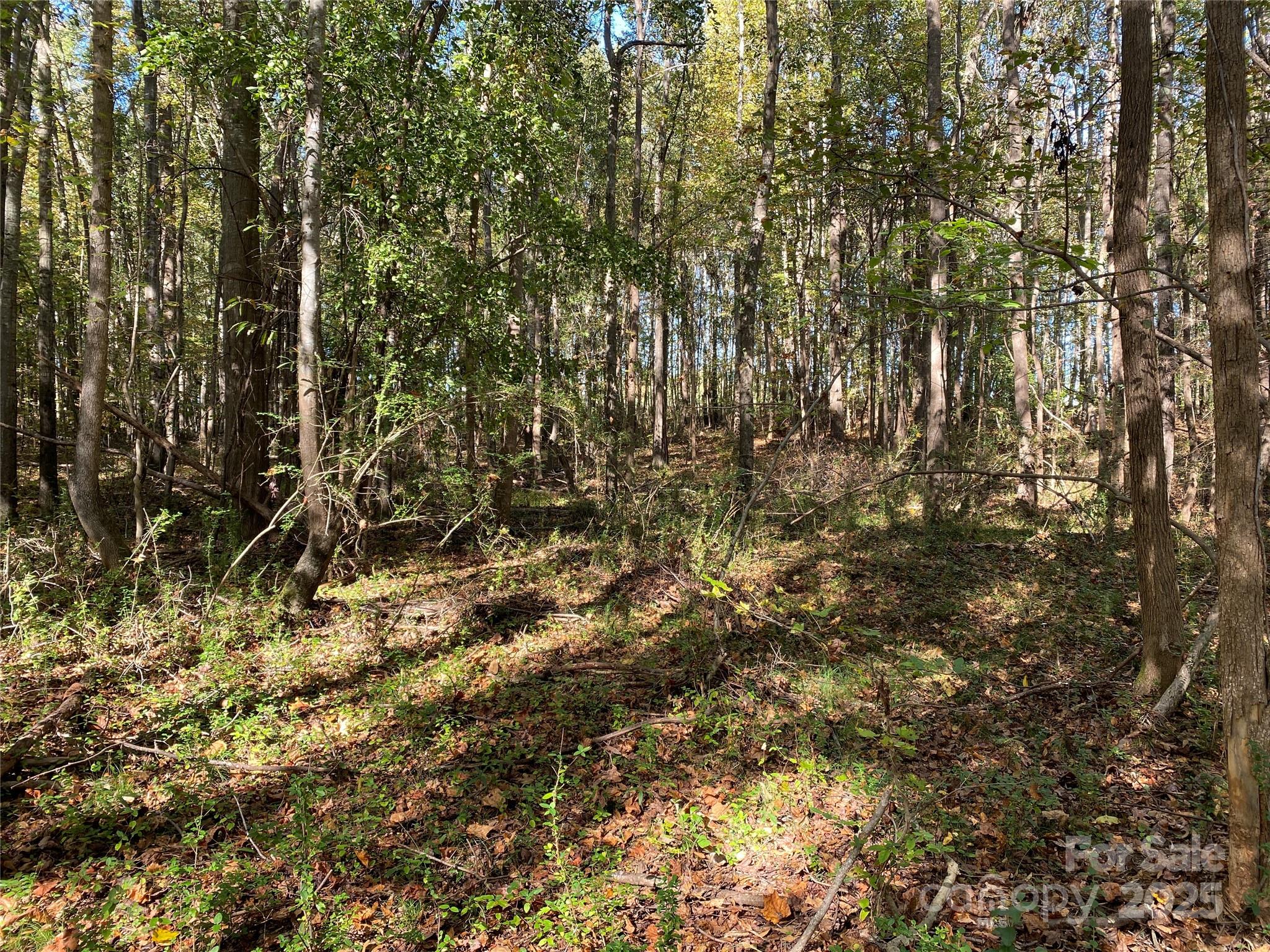 0 Crow Road Shelby, NC 28152 - Photo 8 of 19
