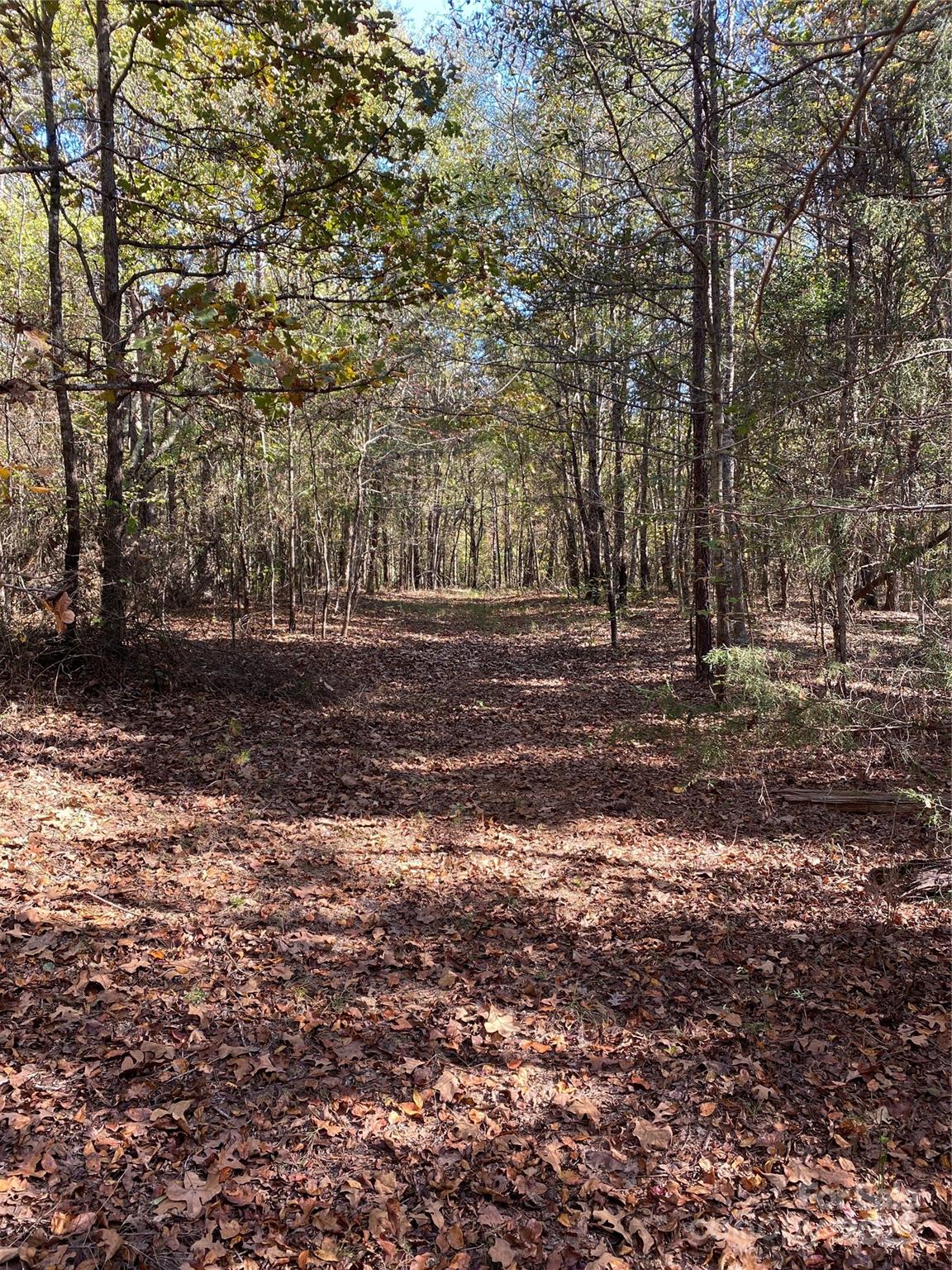 0 Crow Road Shelby, NC 28152 - Photo 9 of 19