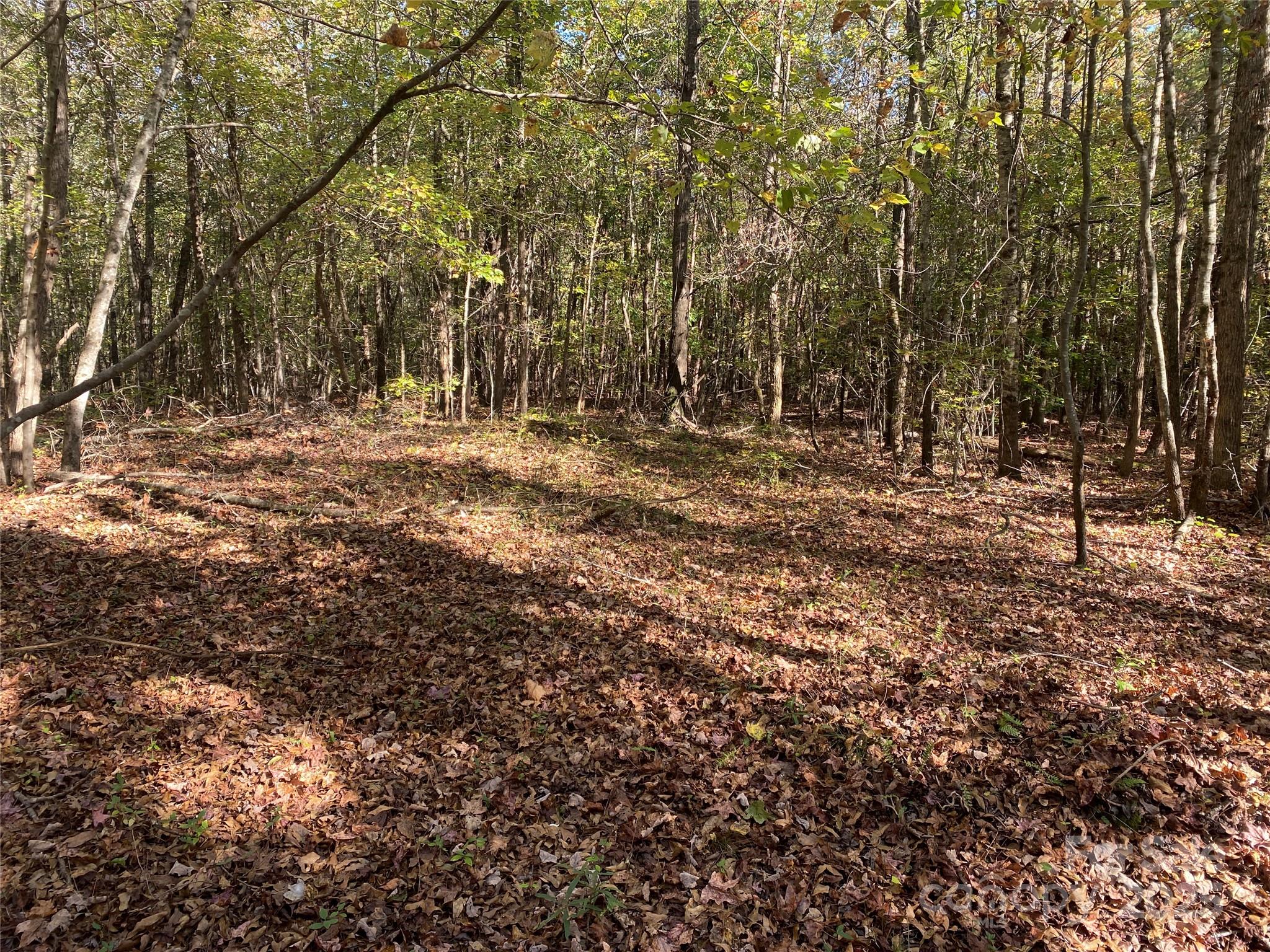 0 Crow Road Shelby, NC 28152 - Photo 10 of 19