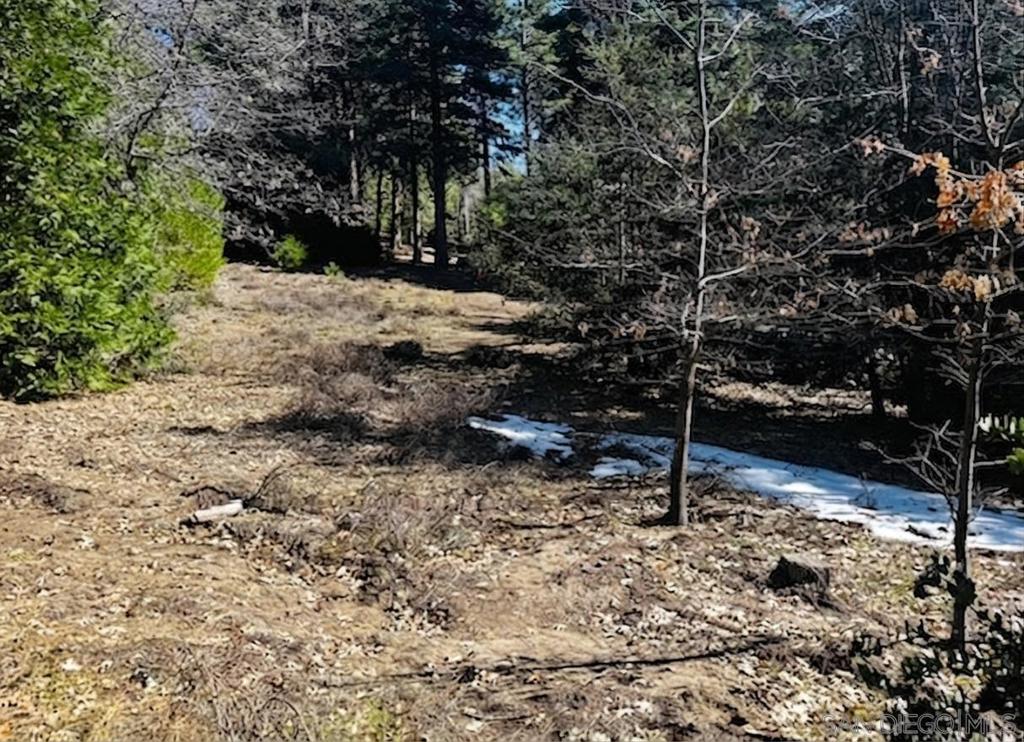 0 Laurel Trail Idyllwild, CA 92549 - Photo 13 of 13