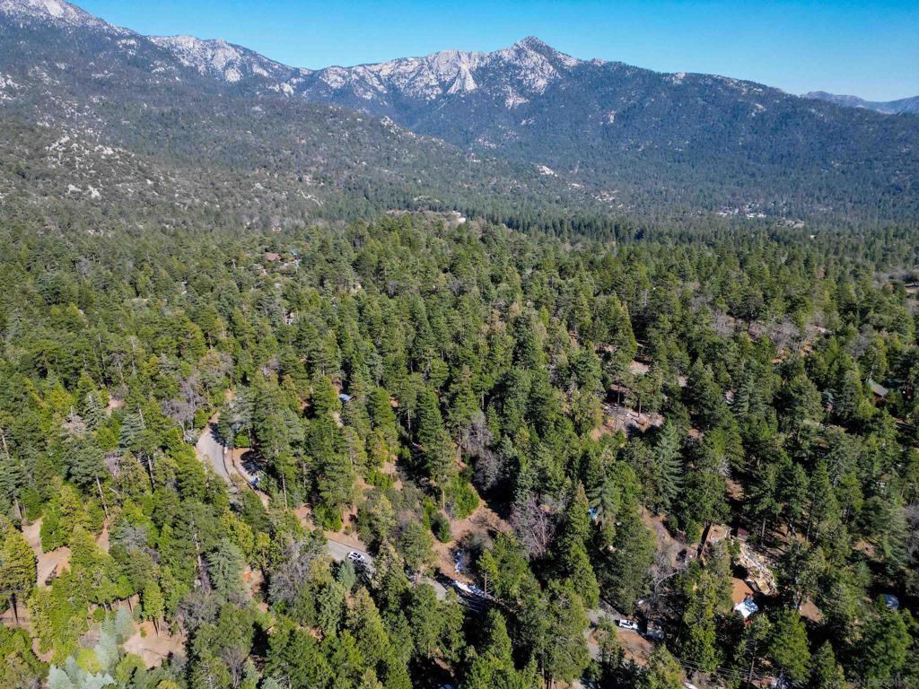 0 Laurel Trail Idyllwild, CA 92549 - Photo 2 of 13 a view of a forest with a mountain in the background