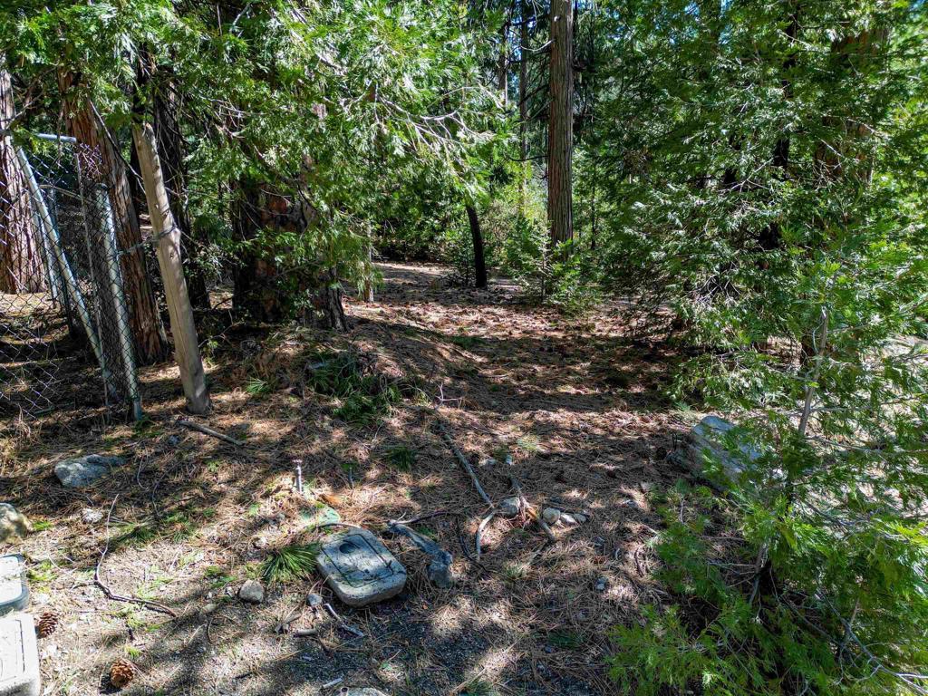 0 Laurel Trail Idyllwild, CA 92549 - Photo 7 of 13 a backyard of a house with lots of green space