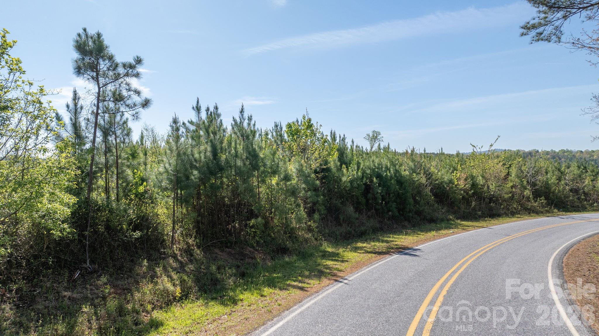 768 Bryant Road Morganton, NC 28655 - Photo 1 of 7