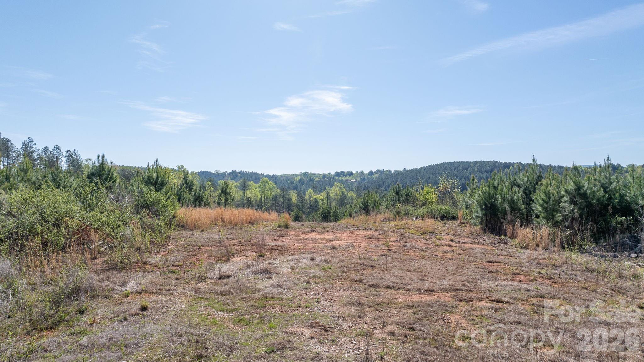 768 Bryant Road Morganton, NC 28655 - Photo 3 of 7