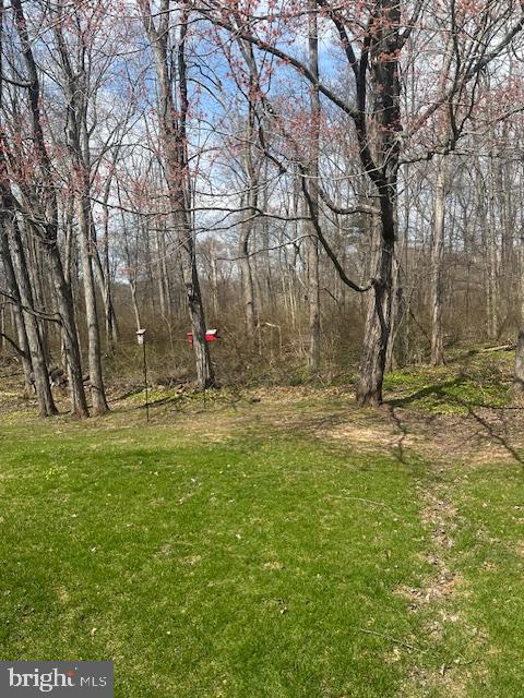 23 Bogey Circle Doylestown, PA 18901 - Photo 32 of 32 a view of backyard space