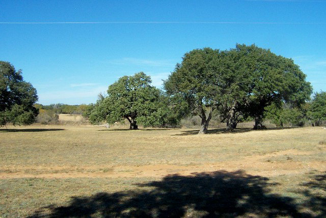 2869 Maso-Llan Road, Unit 61 Mason, TX 76856 - Photo 1 of 1 Main View
