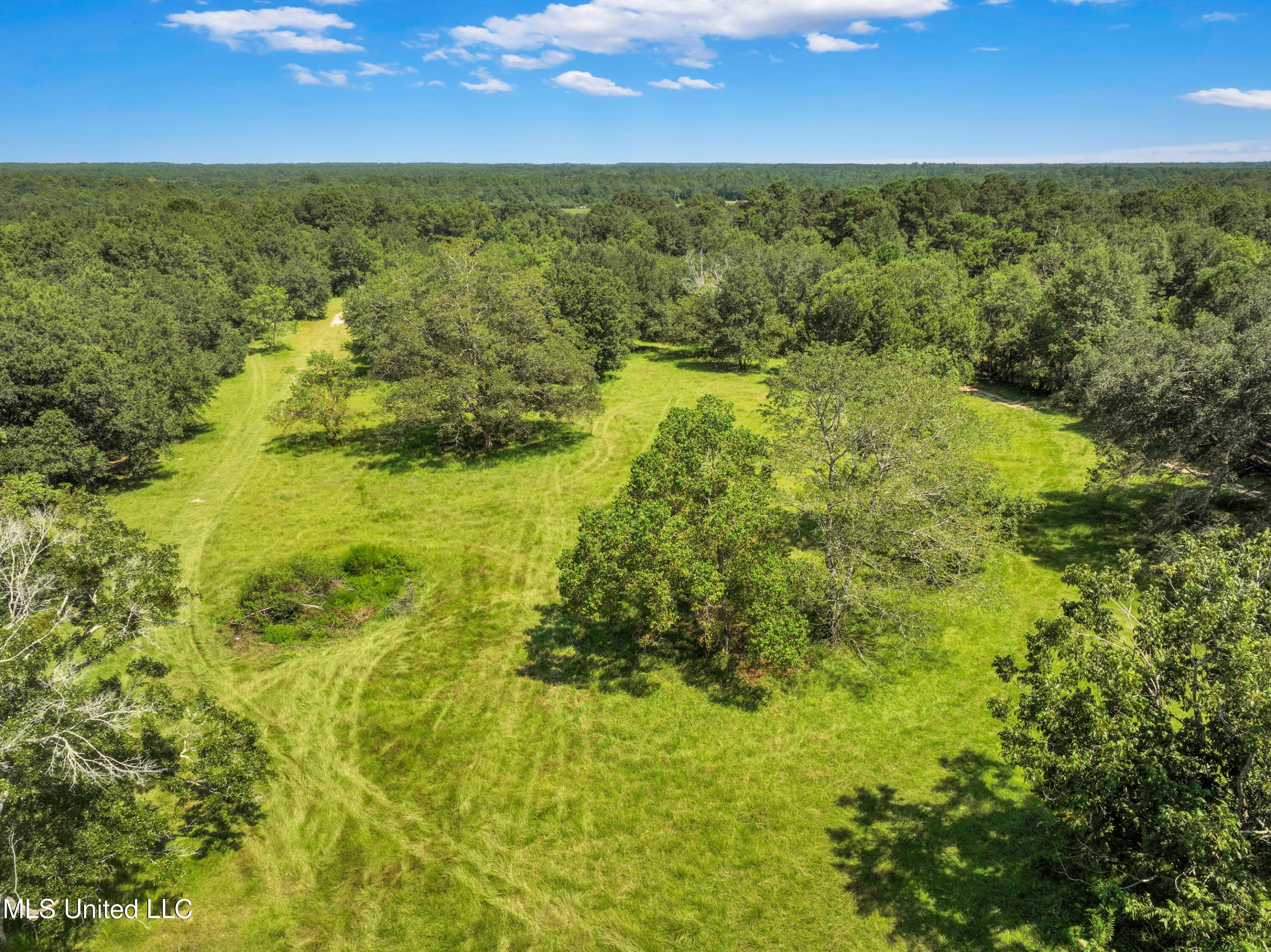 15160 Big Creek Road Gulfport, MS 39503 - Photo 60 of 61 15160BigCreekRd-61
