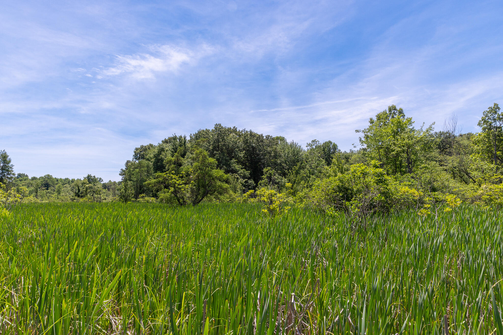 28 28 Mile Road Albion, MI 49224 - Photo 20 of 41 28 Mile -18