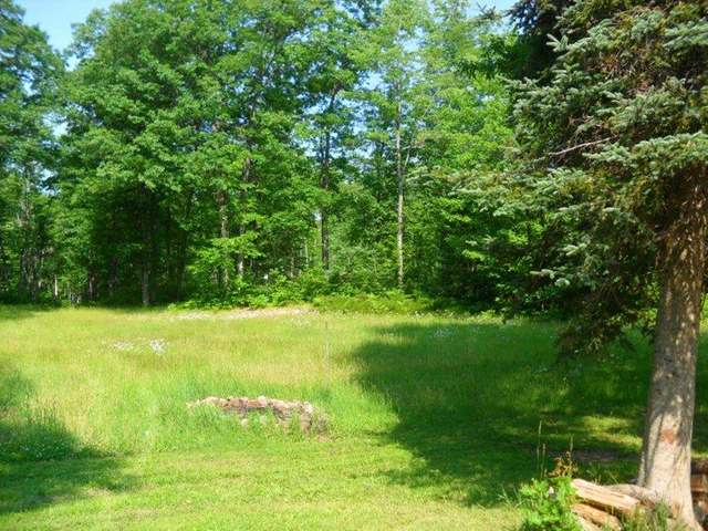 N10596 Clear Lake Road Elcho, WI 54428 - Photo 9 of 12 Gallery Image 9