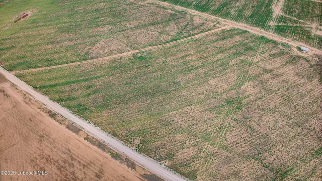 a view of a garden from a balcony