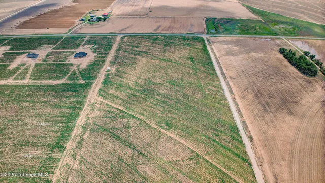 a view of wooden floor