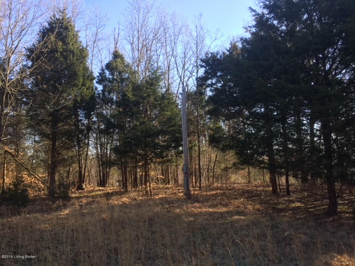 1600 Warren Purcell Road Leitchfield, KY 42754 - Photo 8 of 34 Warren Percell 8